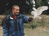 Falconry Gloucester